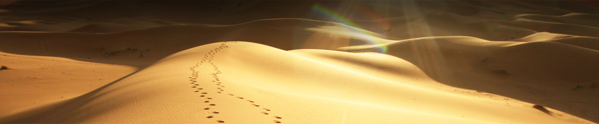 华人策略综合讨论大厅